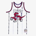 Toronto Raptors Mitchell & Ness Swingman Jersey Tracy McGrady 1998-99